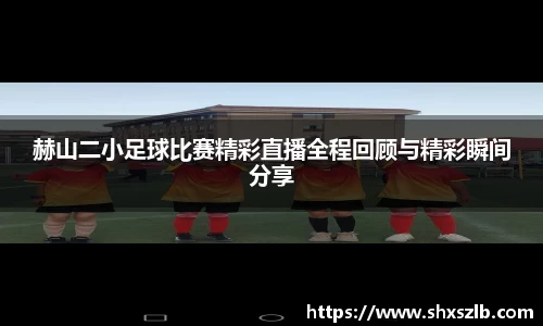 赫山二小足球比赛精彩直播全程回顾与精彩瞬间分享