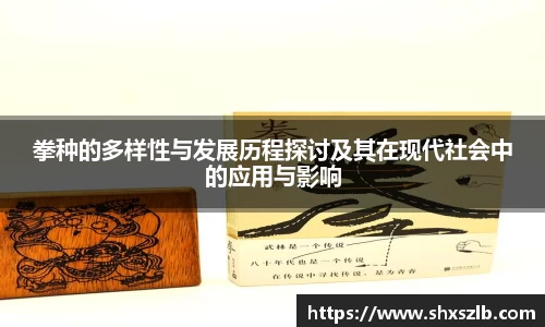 拳种的多样性与发展历程探讨及其在现代社会中的应用与影响