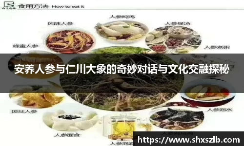 安养人参与仁川大象的奇妙对话与文化交融探秘